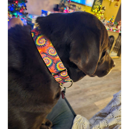 2Hounds Design Classic Tie-Dye Dog Collar Medium - Poudre Pet & Feed Supply